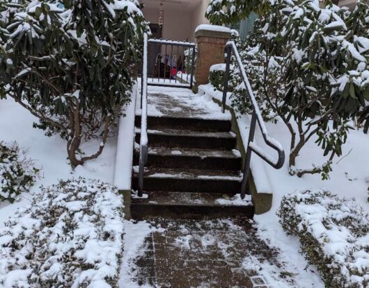 Professional snow removal services