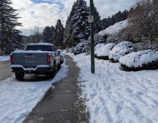 Snow Removal Services