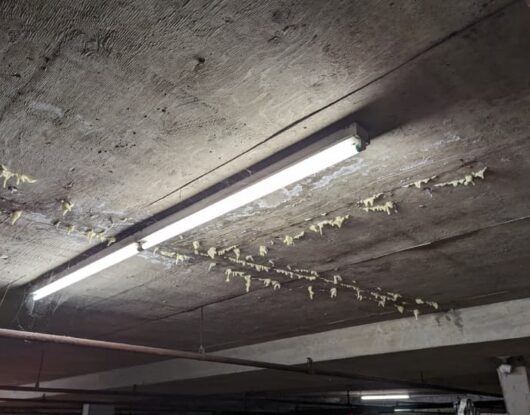 Structural crack injection services in Greater Vancouver