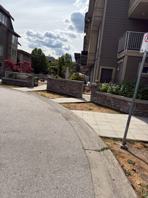 Driveway power washing