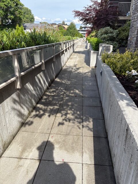 Cleaned residential walkway after power washing