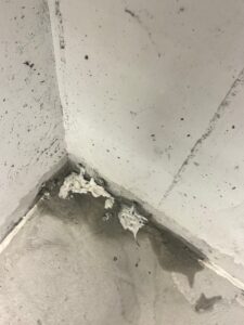 Parking structure coating upgrade