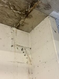 Parking garage surface restoration in Vancouver