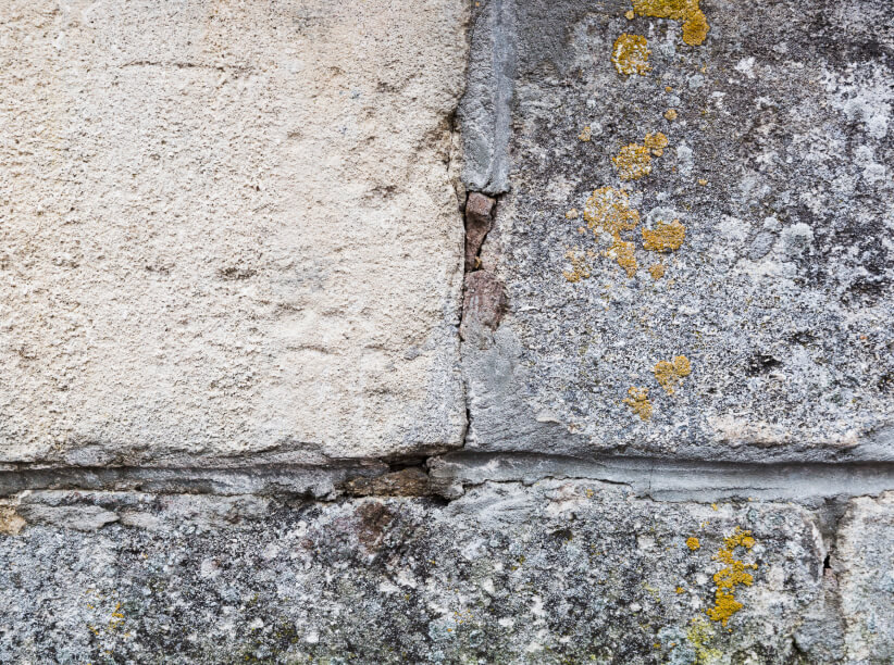 Mold on fundation wall